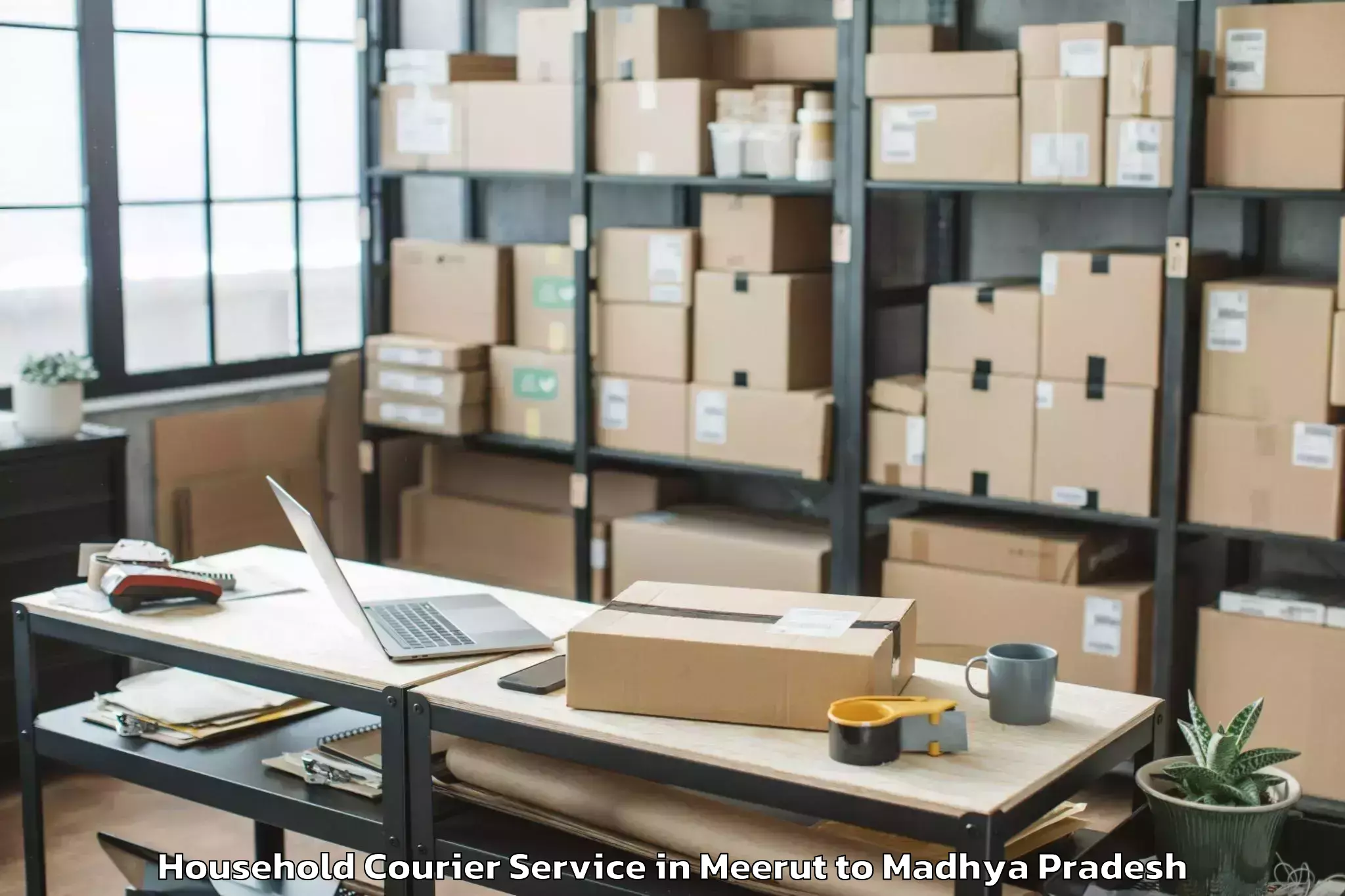 Top Meerut to Sage University Indore Household Courier Available